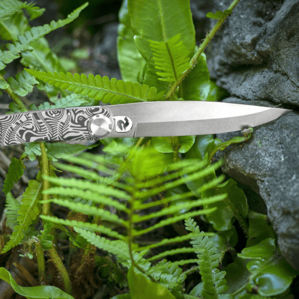 Photo Ambiance Tropical