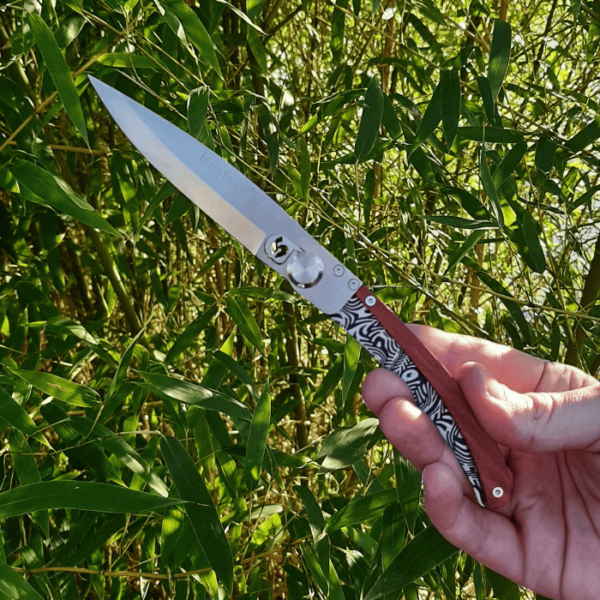 Photo Ambiance Safari