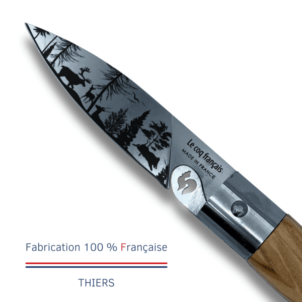 Le Coq Foret