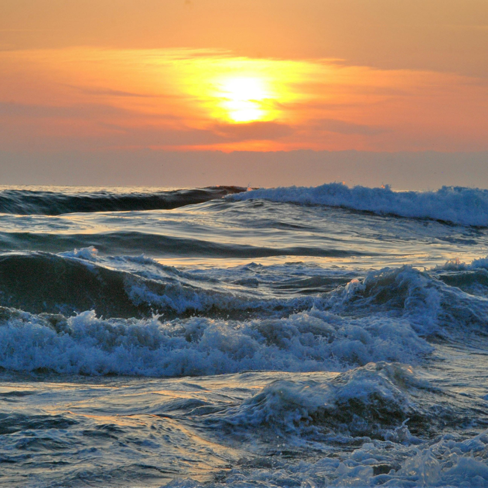 Landes - Photo d'ambiance - Pexel