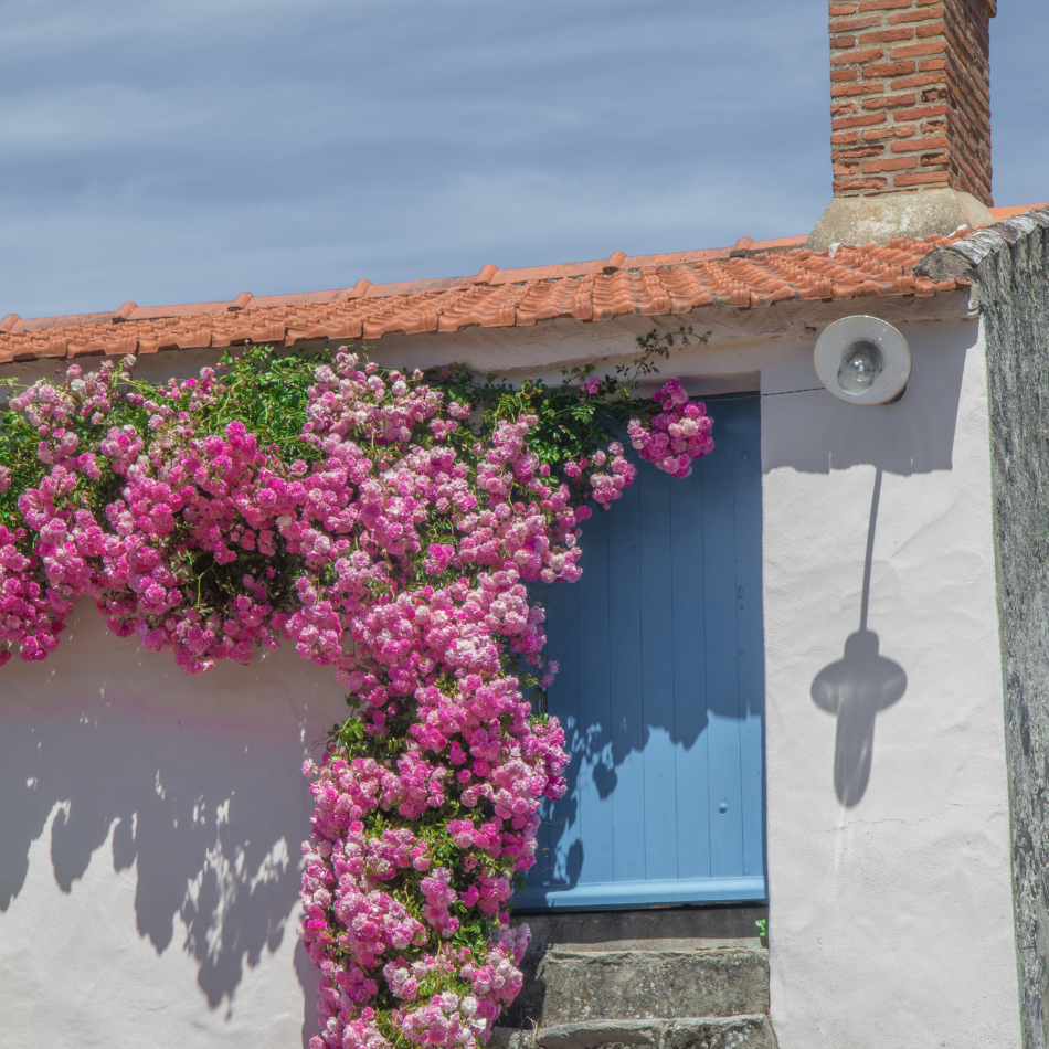 Vendée - Photo d'ambiance - Pexel