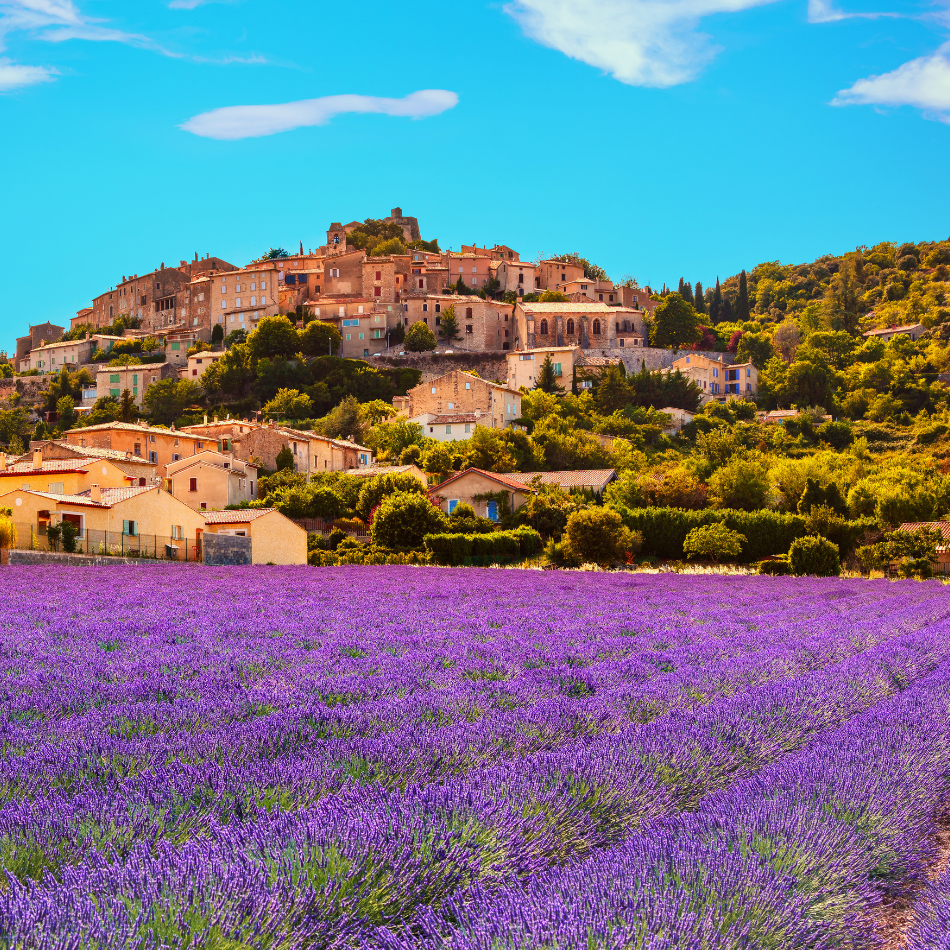 Provençal - Photo d'ambiance - Pexel