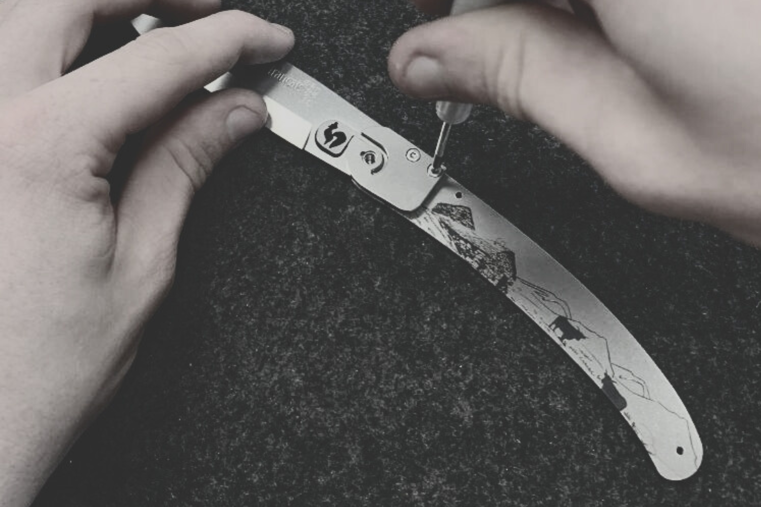 L’assemblage manuel- le-coq-francais.fr