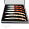 Coffret 6 couteaux de table sublimation – Orient
