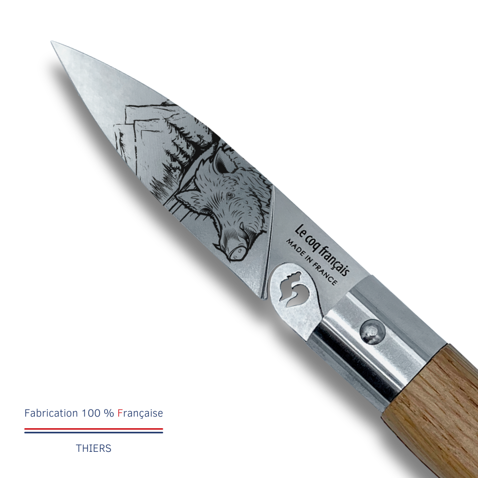 Sanglier - Le coq français